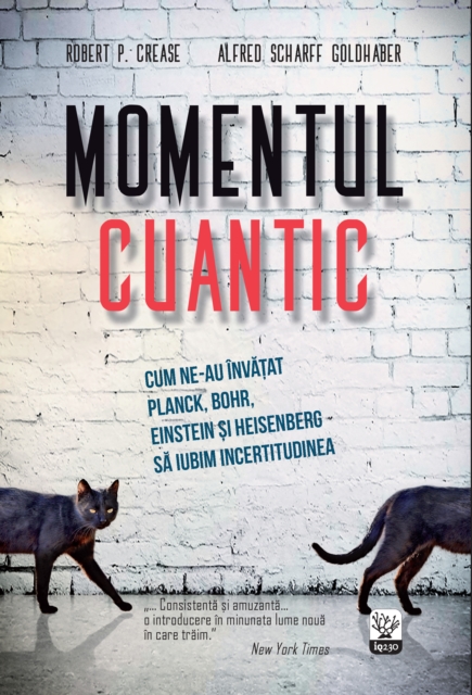 Momentul cuantic, EPUB eBook