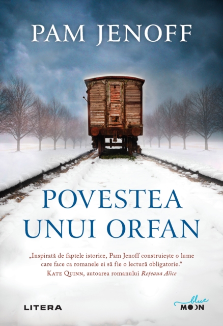 Povestea Unui Orfan, EPUB eBook