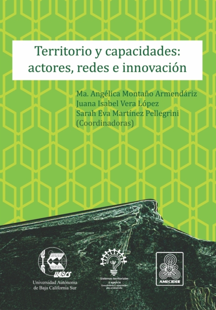 Territorio y capacidades: actores, redes e innovacion, PDF eBook