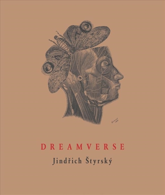 Dreamverse, Paperback / softback Book