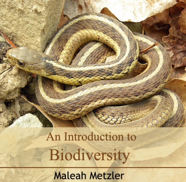 Introduction to Biodiversity, An, PDF eBook