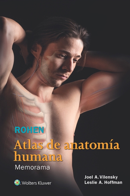 Rohen. Atlas de anatomia humana : Memorama, Loose-leaf Book