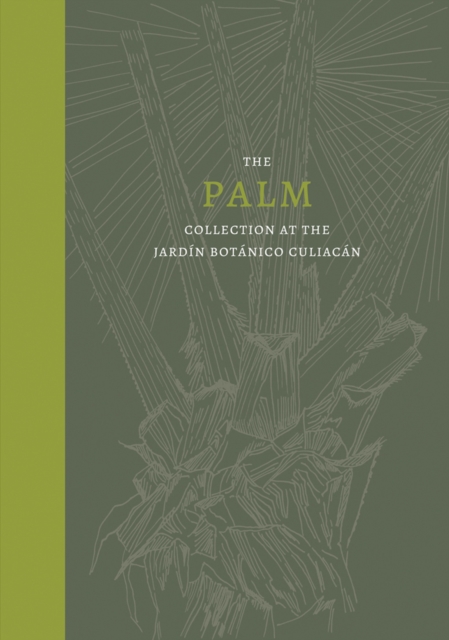 The Palm : Collection at the Jardin Botanico Culiacan, Hardback Book