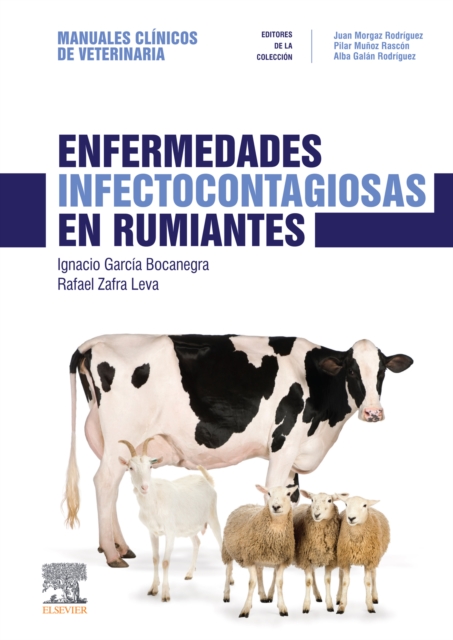 Enfermedades infectocontagiosas en rumiantes : Manuales clinicos de Veterinaria, EPUB eBook