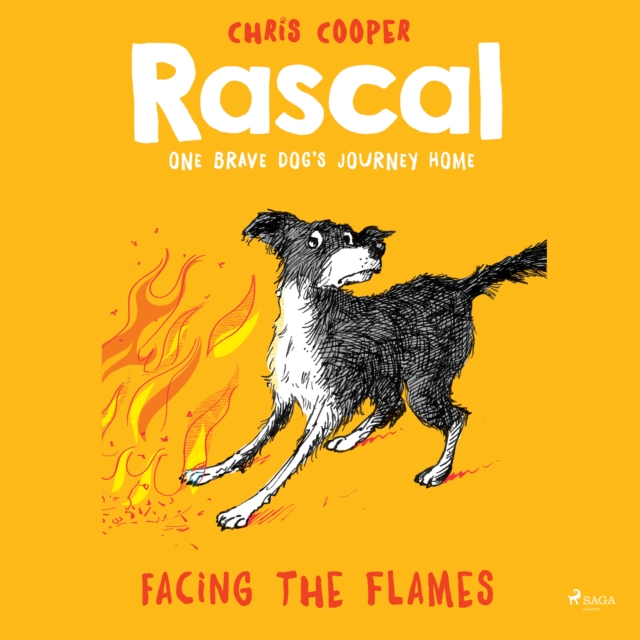 Rascal 4 - Facing the Flames, eAudiobook MP3 eaudioBook