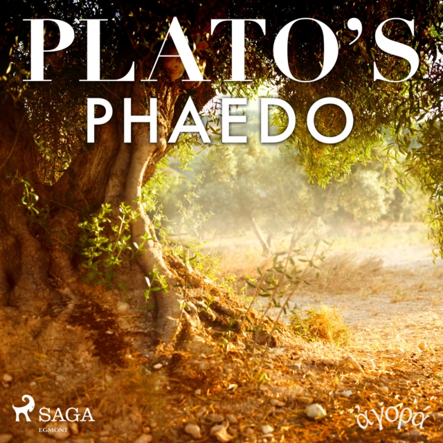 Plato's Phaedo, eAudiobook MP3 eaudioBook