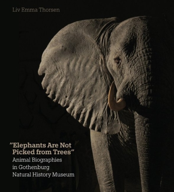 Elephants Are Not Picked from Trees : Animal Biographies in the Gothenburg Museum of Natural History, Hardback Book