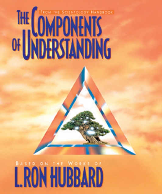The Components of Understanding, Pamphlet Book