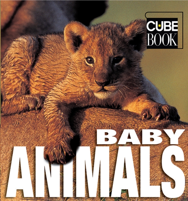 Baby Animals : Minicube, Hardback Book