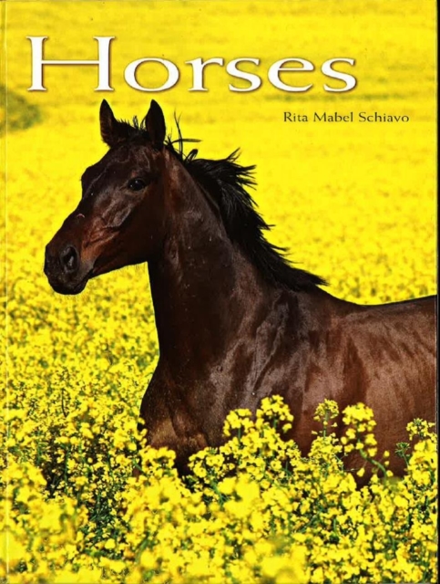 Horses : Pocket Book, Hardback Book