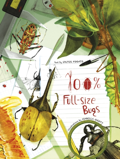 100% Full Size Bugs, Hardback Book