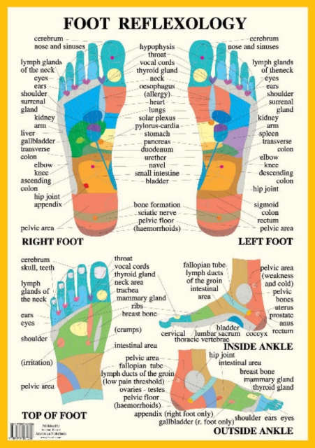 Foot Reflexology -- A2, Poster Book