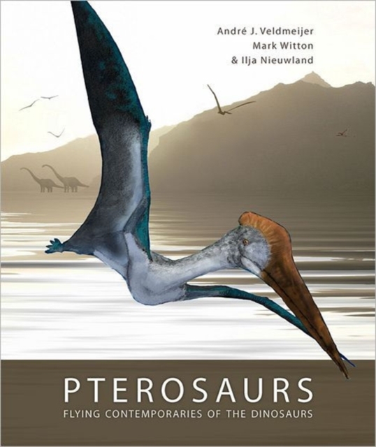 Pterosaurs, Paperback / softback Book