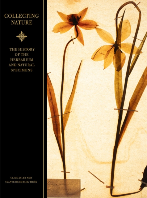 Collecting Nature : The History of the Herbarium and Natural Specimens, Hardback Book