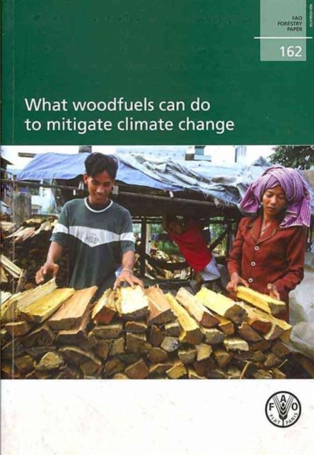 What Woodfuels Can Do to Mitigate Climate Change, Paperback / softback Book