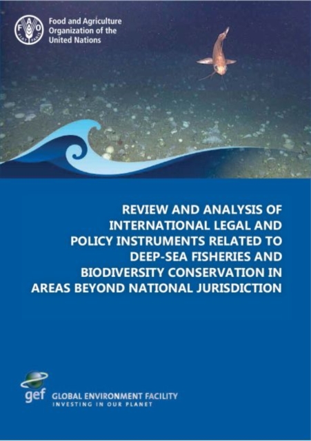 Review and analysis of international legal and policy instruments related to deep-sea fisheries and biodiversity conservation in areas beyond national jurisdiction, Paperback / softback Book