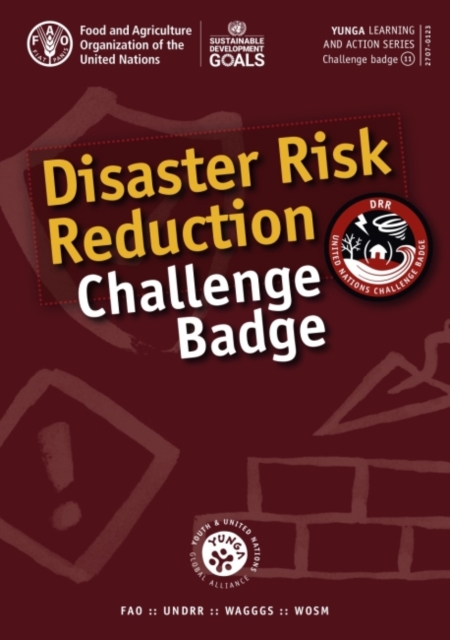 Disaster risk reduction challenge badge, Paperback / softback Book