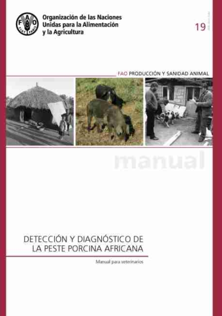 Deteccion y diagnostico de la peste porcina africana : Manual para veterinarios, Paperback / softback Book