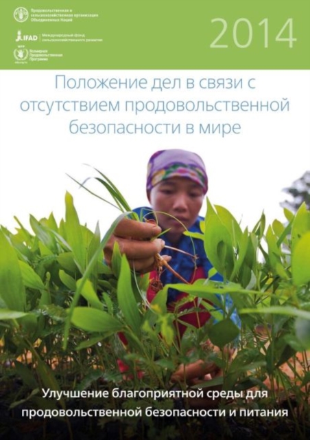 The State of Food Insecurity in the World : Strengthening the Enabling Enviroment for Food Security and Nutrition, Paperback Book