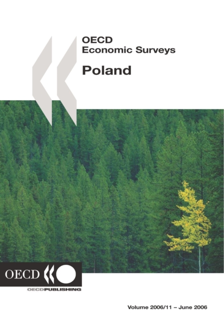 OECD Economic Surveys: Poland 2006, PDF eBook