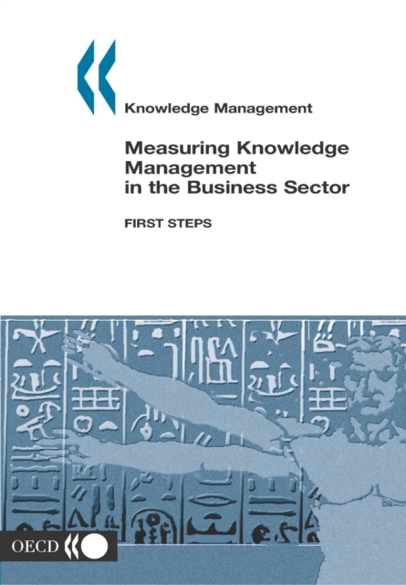 Knowledge management Measuring Knowledge Management in the Business Sector First Steps, PDF eBook