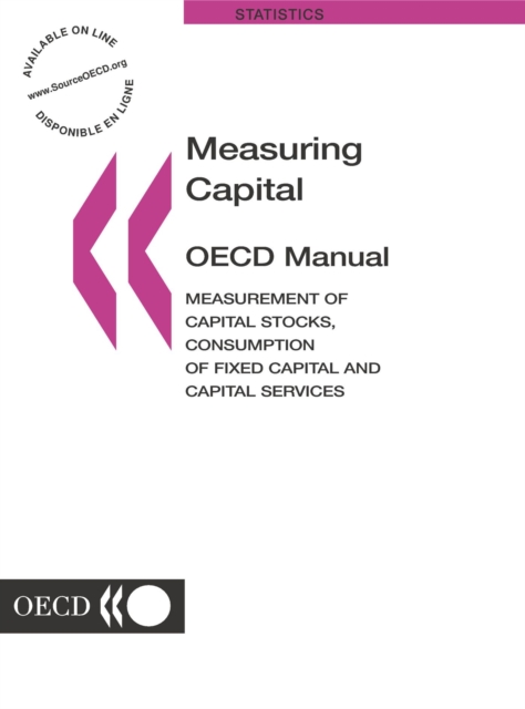 Measuring Capital -- OECD Manual Measurement of Capital Stocks, Consumption of Fixed Capital and Capital Services, PDF eBook