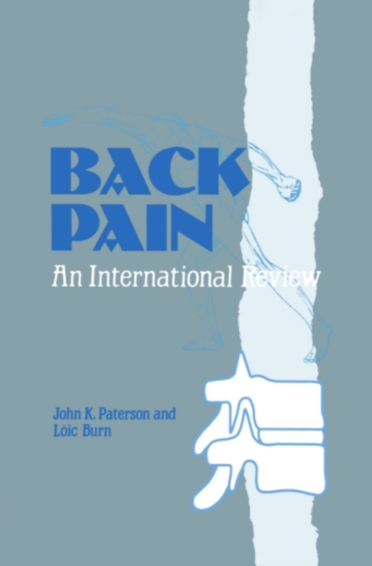 Back Pain : An International Review, PDF eBook