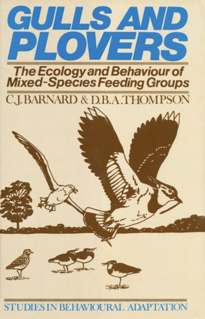 Gulls and Plovers : The Ecology and Behaviour of Mixed-Species Feeding Groups, PDF eBook