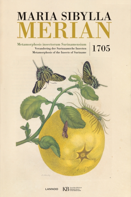 Metamorphosis Insectorum Surinamensium, Hardback Book