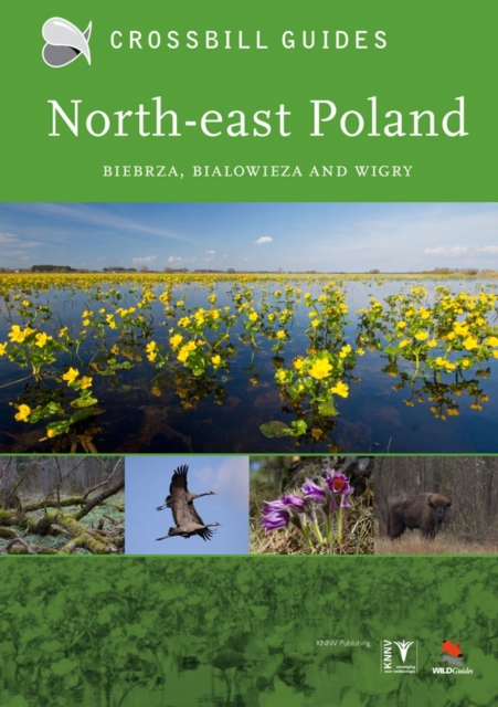 North-East Poland : Biebrza, Bialowieza and Wigry, Paperback / softback Book