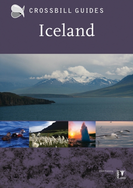 Iceland, Paperback / softback Book