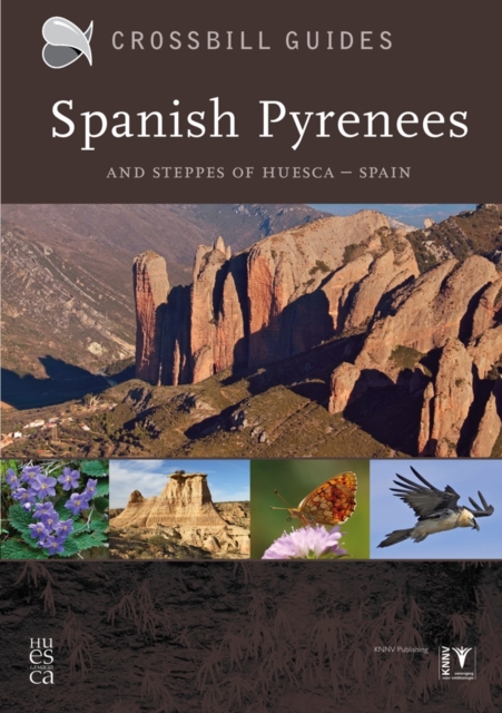 Spanish Pyrenees : And Steppes of Huesca - Spain, Paperback / softback Book