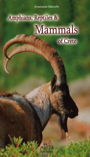 Amphibians, Reptiles & Mammals of Crete, Paperback / softback Book