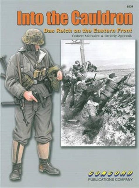 6534: into the Cauldron: Das Reich on the Eastern Front, Paperback Book