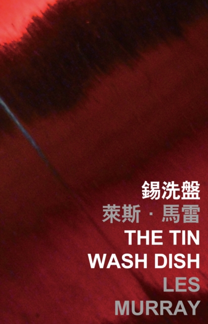 The Tin Wash Dish, PDF eBook