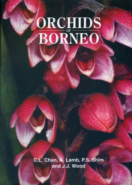 Orchids of Borneo Volume 1, Hardback Book
