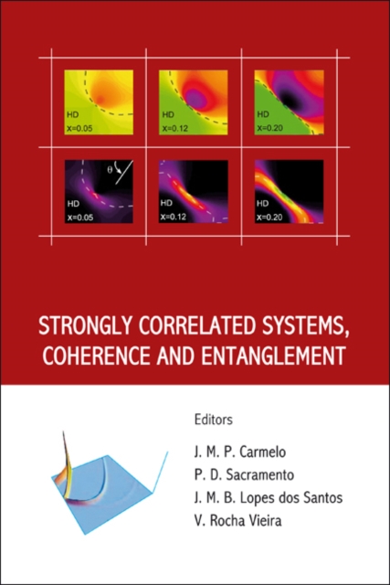 Strongly Correlated Systems, Coherence And Entanglement, PDF eBook