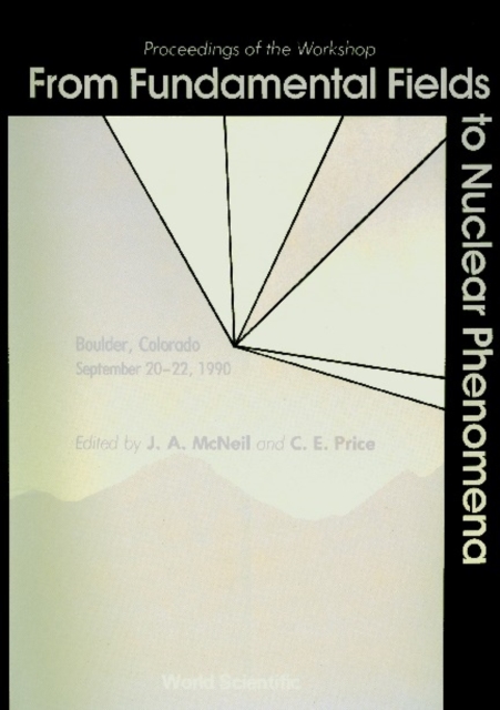 From Fundamental Fields To Nuclear Phenomena - Proceedings Of The Workshop, PDF eBook