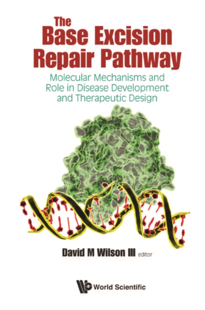 Base Excision Repair Pathway, The: Molecular Mechanisms And Role In Disease Development And Therapeutic Design, EPUB eBook