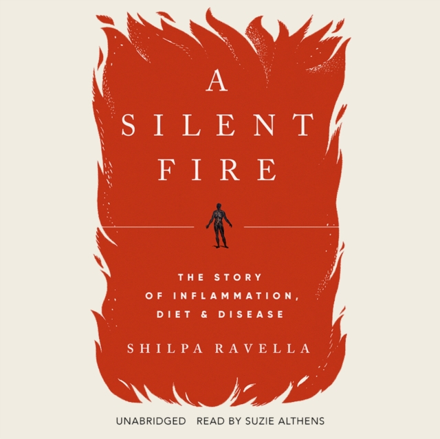 A Silent Fire, eAudiobook MP3 eaudioBook