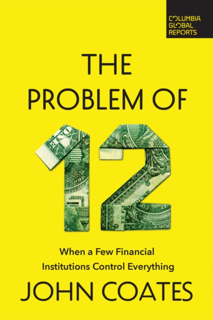 The Problem of Twelve : When a Few Financial Institutions Control Everything, EPUB eBook