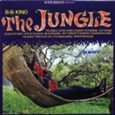 The Jungle - CD