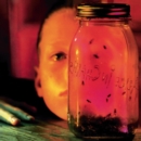 Jar of Flies - Vinyl