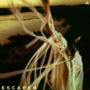 Escaper - Vinyl