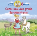Conni Und Das Große Bergabenteuer - CD