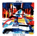 Lapse in Passage - Vinyl