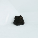 Hiss Spun - CD