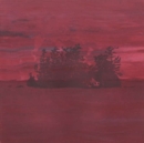 The Besnard Lakes Are the Divine Wind - Vinyl