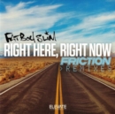 Right Here Right Now - Friction Remixes - Vinyl