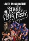 Reel Big Fish: Live! In Concert! - DVD